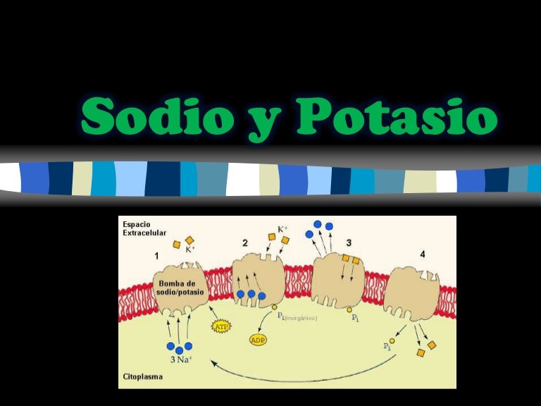 Consecuencias del potasio alto en el cuerpo